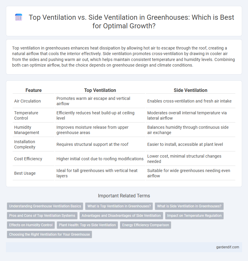 Top Ventilation vs. Side Ventilation in Greenhouses: Which is Best for Optimal Growth?