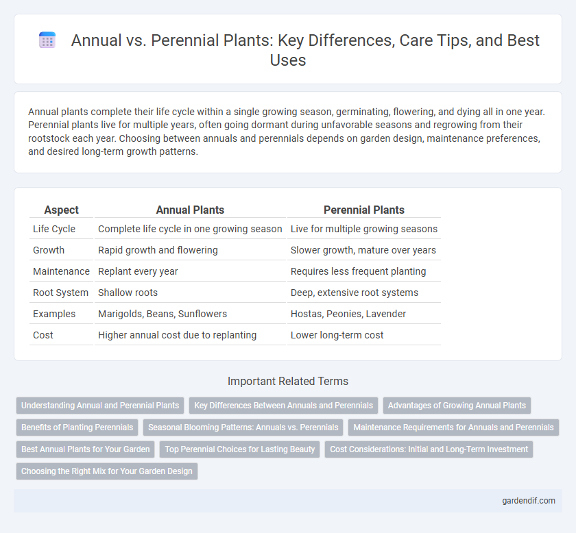 Annual vs. Perennial Plants: Key Differences, Care Tips, and Best Uses