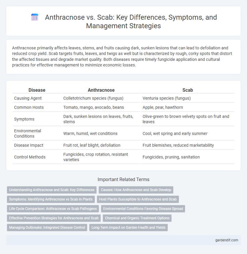 Anthracnose vs. Scab: Key Differences, Symptoms, and Management Strategies