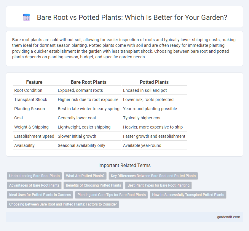 Bare Root vs Potted Plants: Which Is Better for Your Garden?
