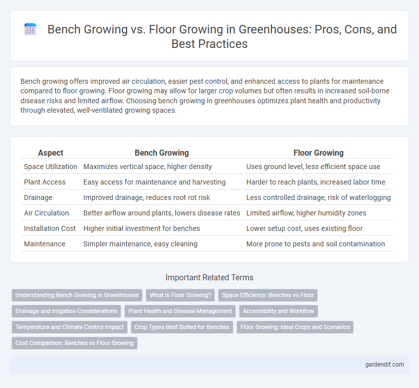 Bench Growing vs. Floor Growing in Greenhouses: Pros, Cons, and Best Practices