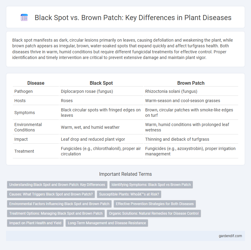 Black Spot vs. Brown Patch: Key Differences in Plant Diseases