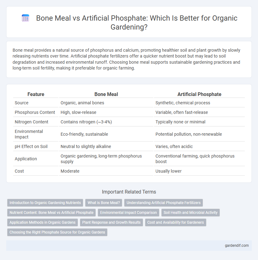 Bone Meal vs Artificial Phosphate: Which Is Better for Organic Gardening?