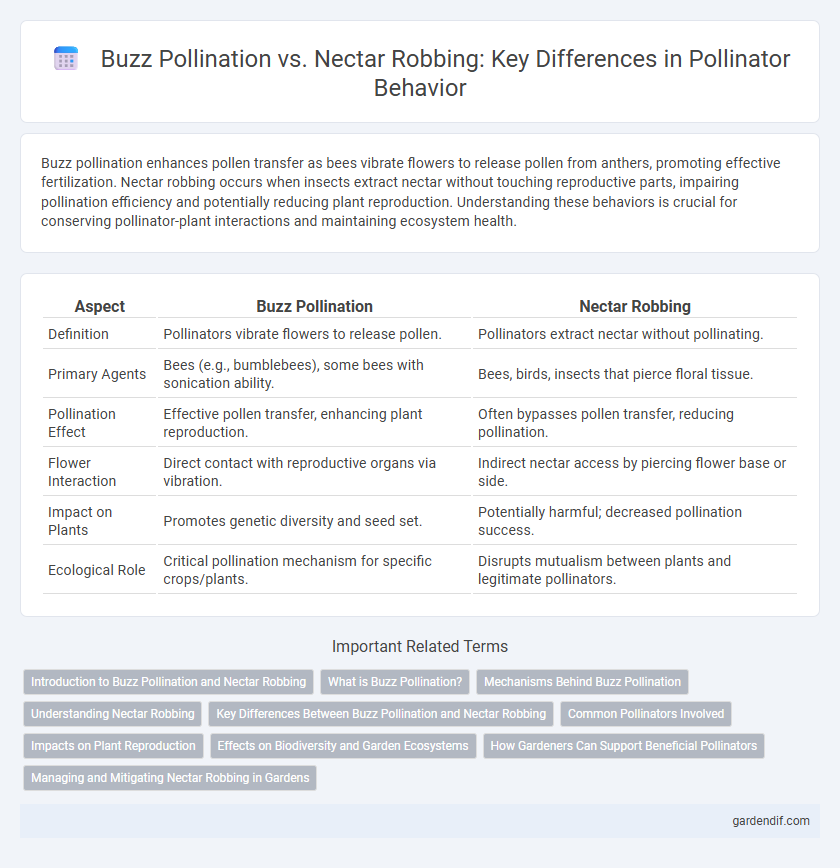 Buzz Pollination vs. Nectar Robbing: Key Differences in Pollinator Behavior