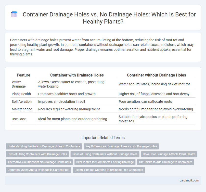 Container Drainage Holes vs. No Drainage Holes: Which Is Best for Healthy Plants?