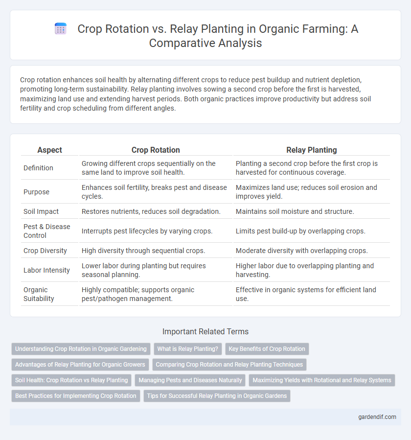 Crop Rotation vs. Relay Planting in Organic Farming: A Comparative Analysis