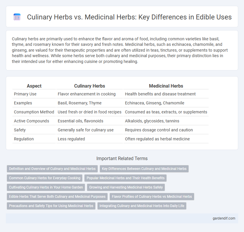 Culinary Herbs vs. Medicinal Herbs: Key Differences in Edible Uses