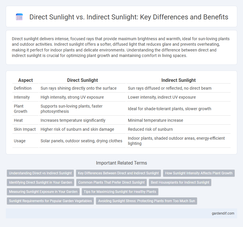 Direct Sunlight vs. Indirect Sunlight: Key Differences and Benefits