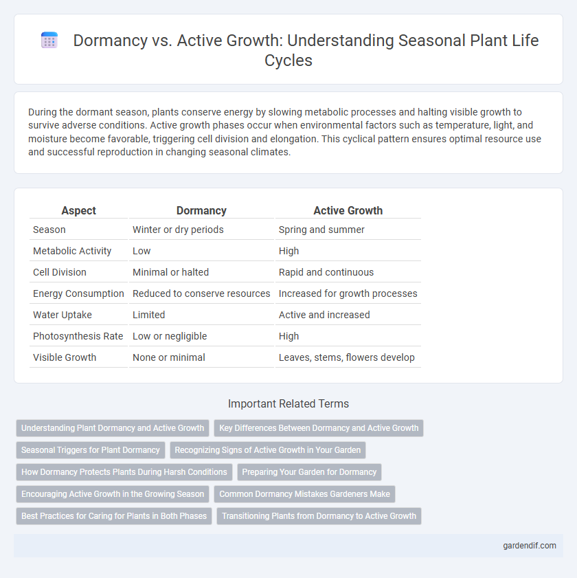 Dormancy vs. Active Growth: Understanding Seasonal Plant Life Cycles