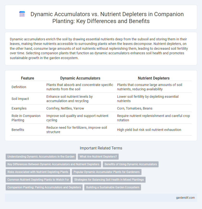 Dynamic Accumulators vs. Nutrient Depleters in Companion Planting: Key Differences and Benefits