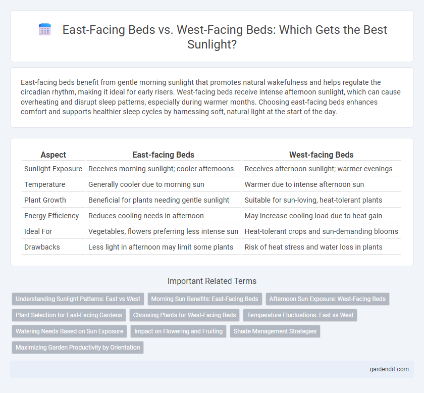 East-Facing Beds vs. West-Facing Beds: Which Gets the Best Sunlight?
