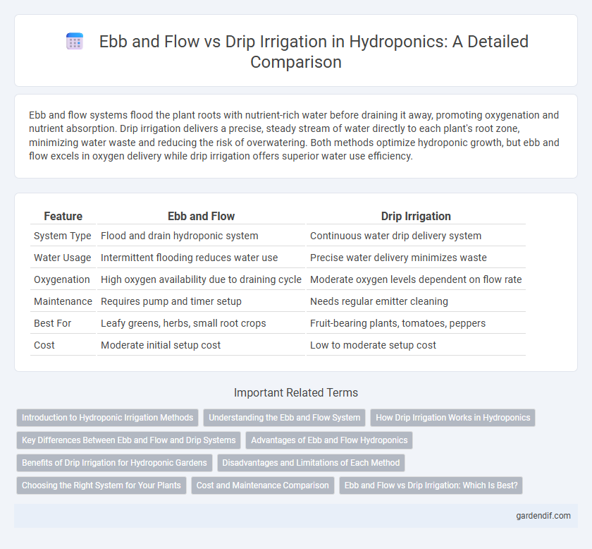 Ebb and Flow vs Drip Irrigation in Hydroponics: A Detailed Comparison