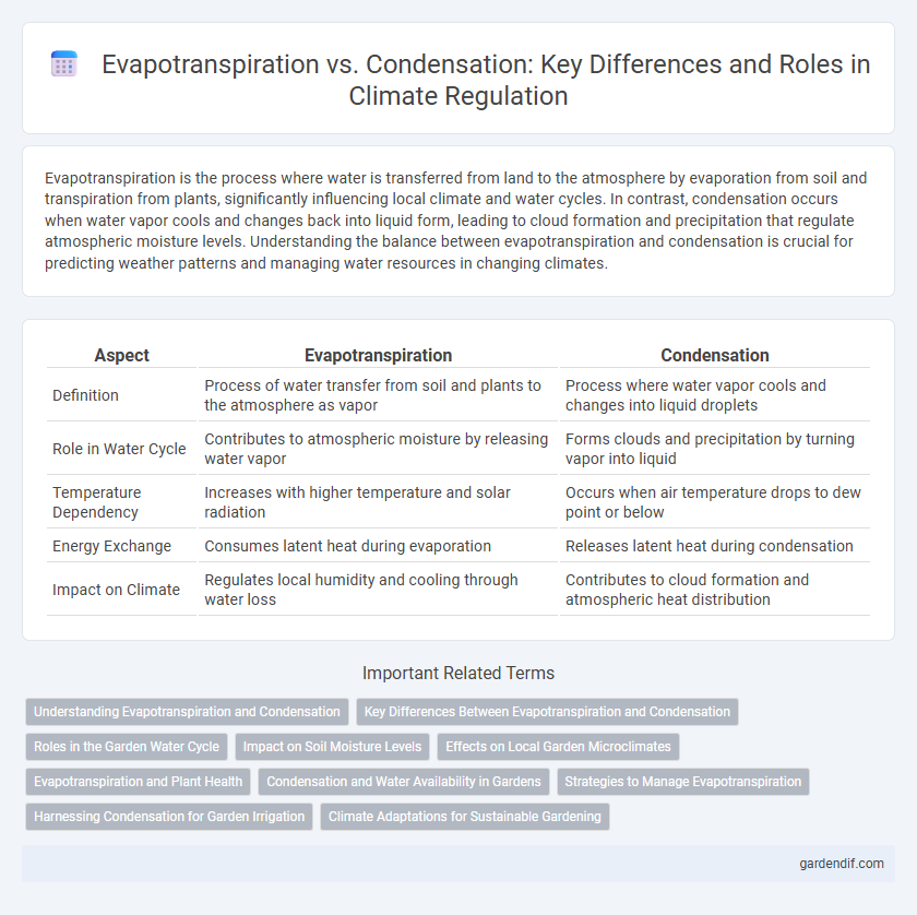 Evapotranspiration vs. Condensation: Key Differences and Roles in Climate Regulation
