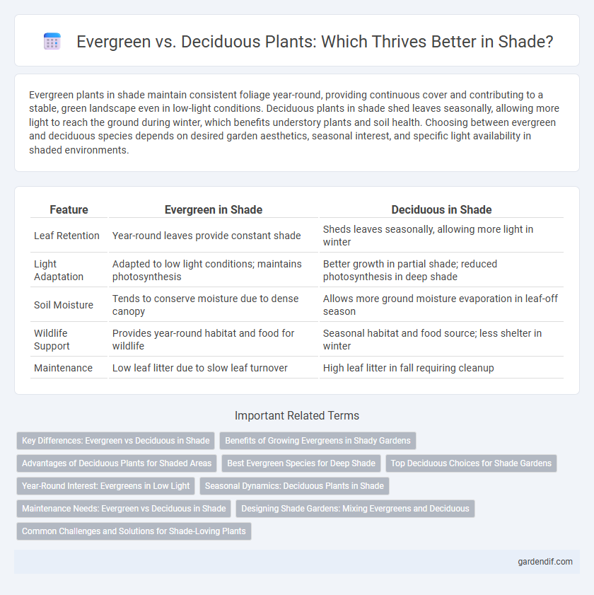 Evergreen vs. Deciduous Plants: Which Thrives Better in Shade?