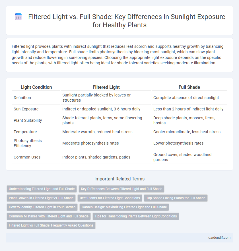 Filtered Light vs. Full Shade: Key Differences in Sunlight Exposure for Healthy Plants