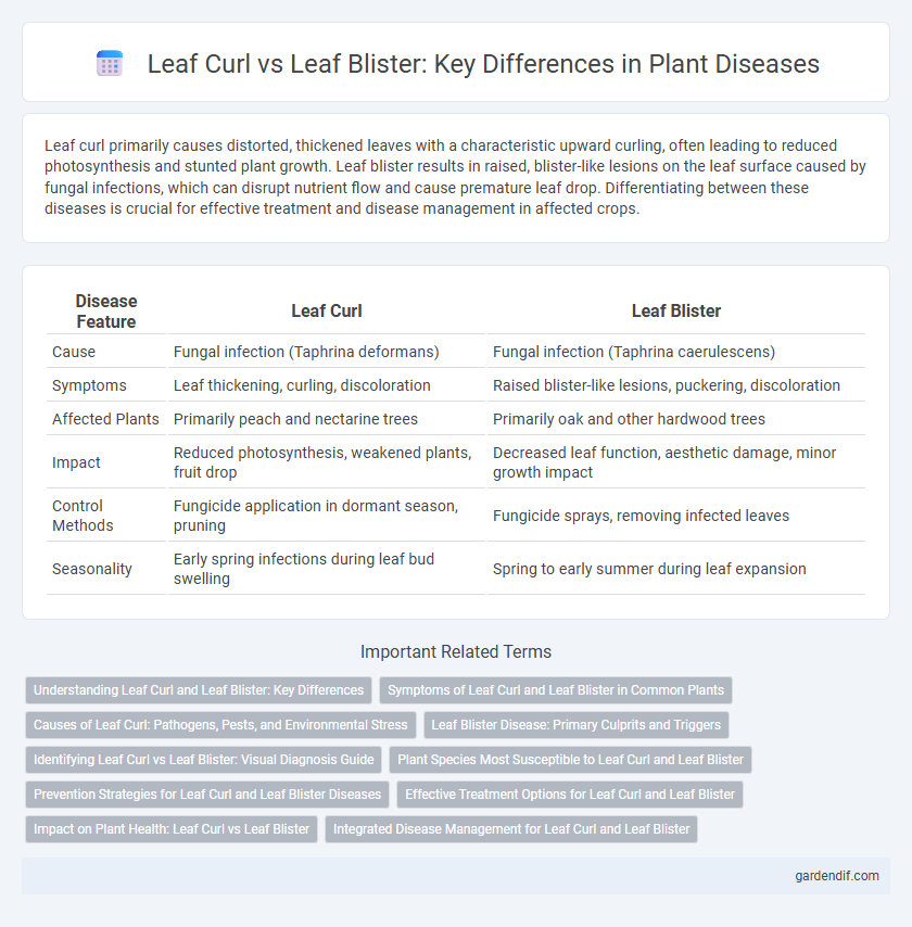 Leaf Curl vs Leaf Blister: Key Differences in Plant Diseases