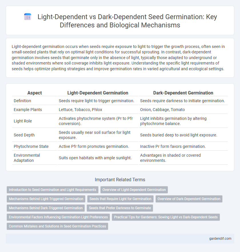 Light-Dependent vs Dark-Dependent Seed Germination: Key Differences and Biological Mechanisms