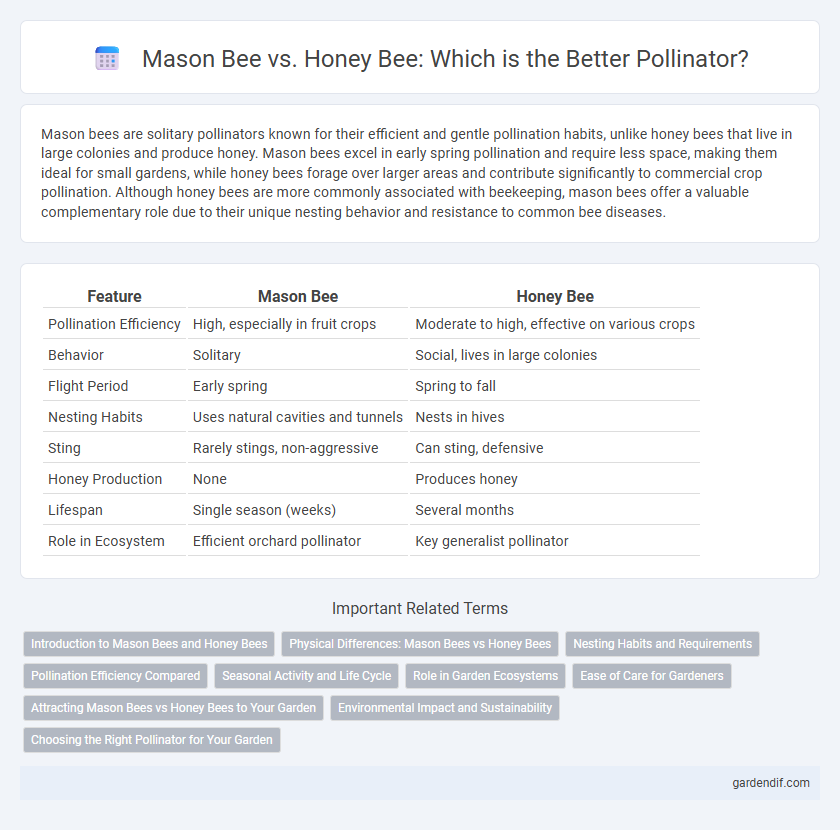 Mason Bee vs. Honey Bee: Which is the Better Pollinator?