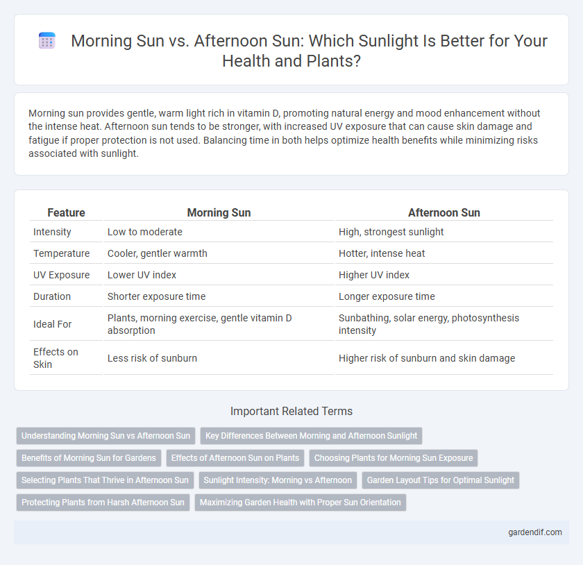 Morning Sun vs. Afternoon Sun: Which Sunlight Is Better for Your Health and Plants?
