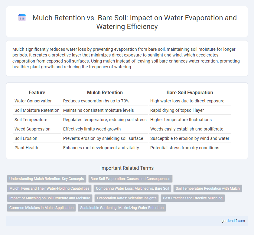 Mulch Retention vs. Bare Soil: Impact on Water Evaporation and Watering Efficiency
