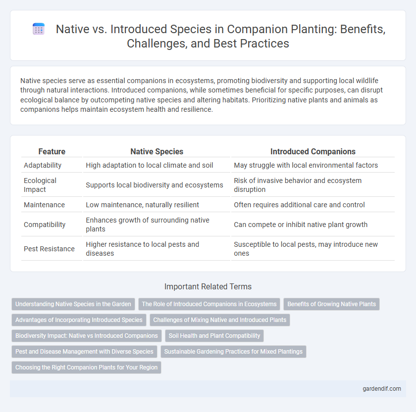 Native vs. Introduced Species in Companion Planting: Benefits, Challenges, and Best Practices