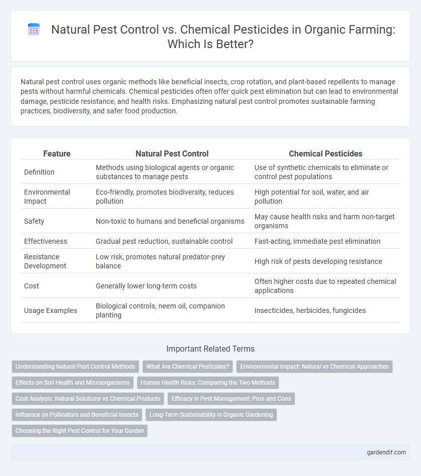 Natural Pest Control vs. Chemical Pesticides in Organic Farming: Which Is Better?