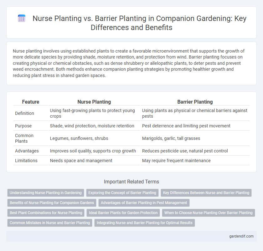 Nurse Planting vs. Barrier Planting in Companion Gardening: Key Differences and Benefits