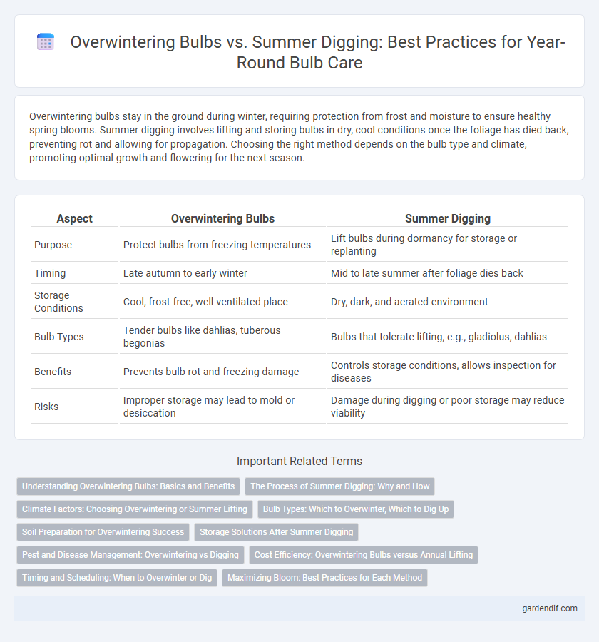 Overwintering Bulbs vs. Summer Digging: Best Practices for Year-Round Bulb Care