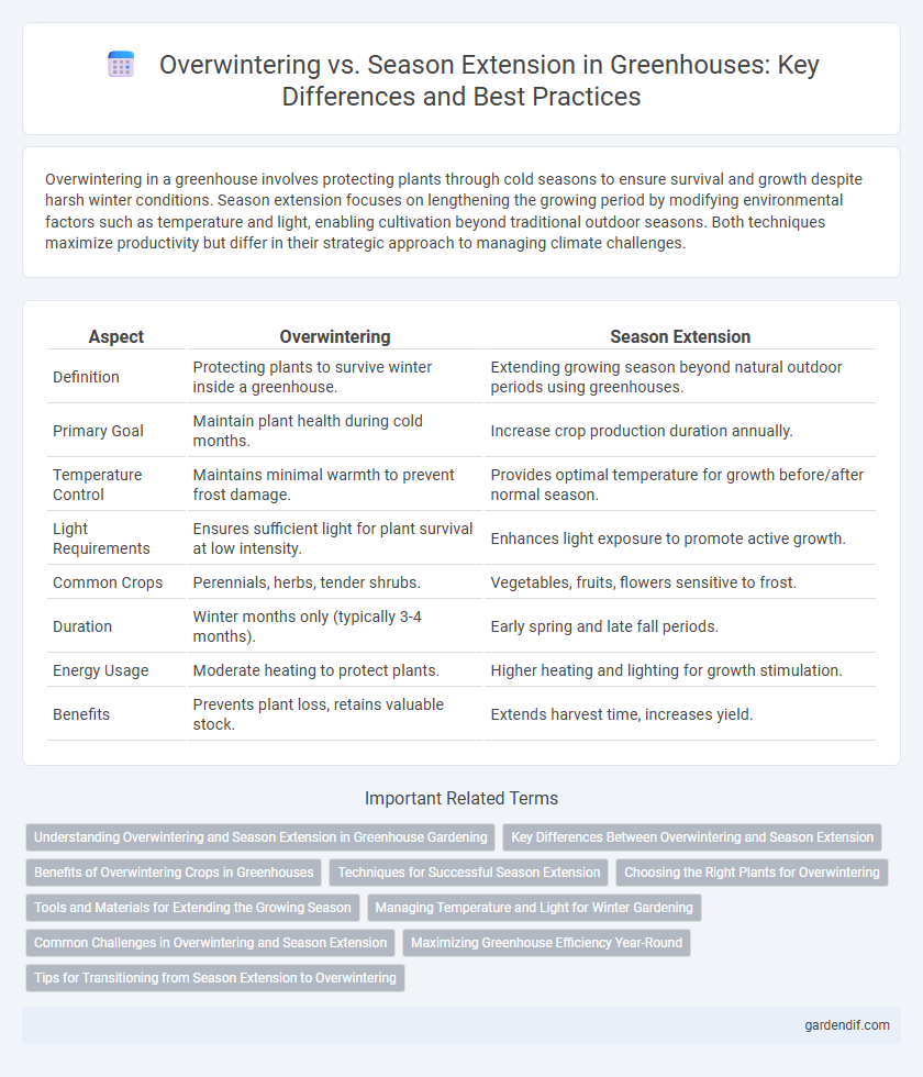 Overwintering vs. Season Extension in Greenhouses: Key Differences and Best Practices