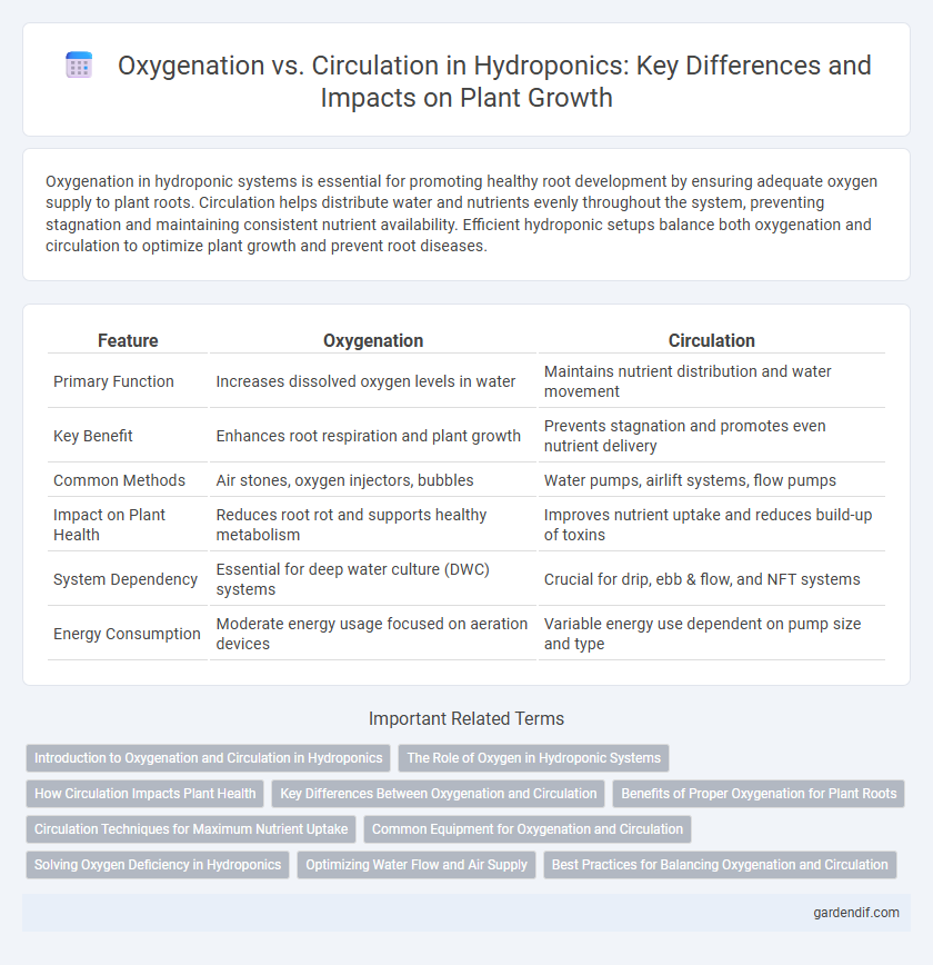 Oxygenation vs. Circulation in Hydroponics: Key Differences and Impacts on Plant Growth
