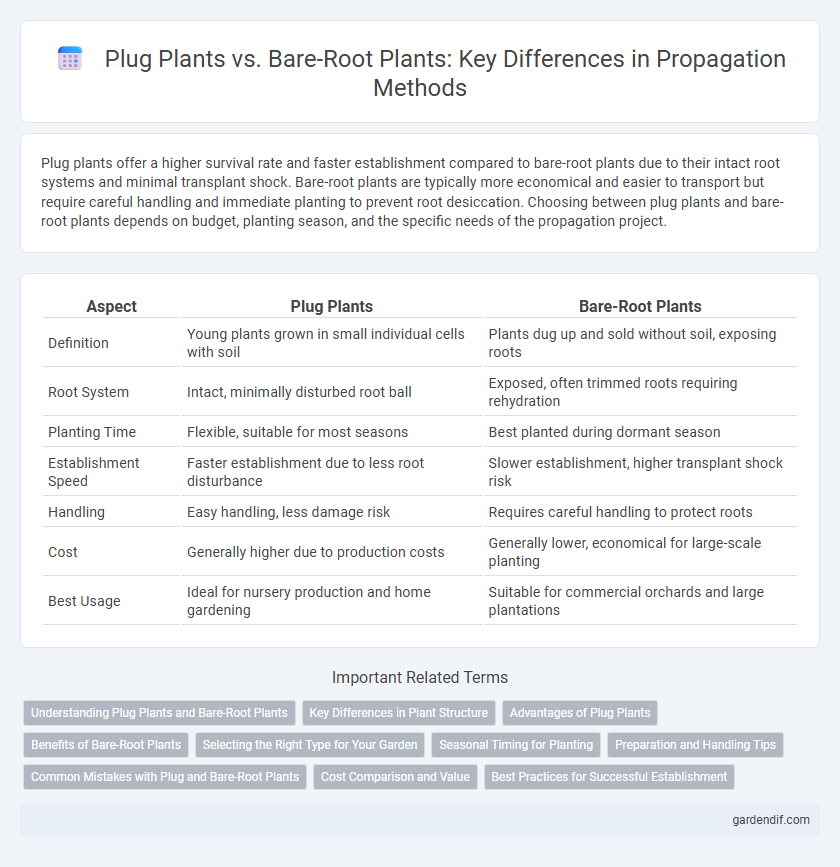 Plug Plants vs. Bare-Root Plants: Key Differences in Propagation Methods