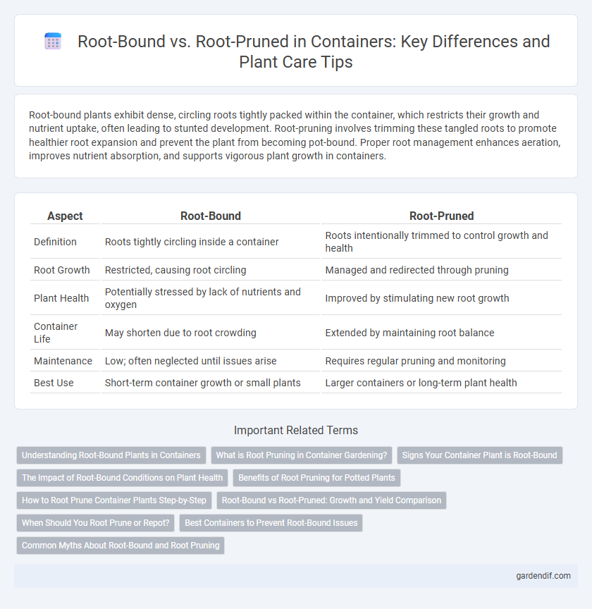 Root-Bound vs. Root-Pruned in Containers: Key Differences and Plant Care Tips