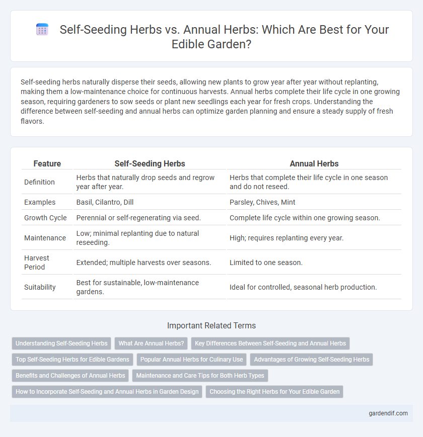 Self-Seeding Herbs vs. Annual Herbs: Which Are Best for Your Edible Garden?