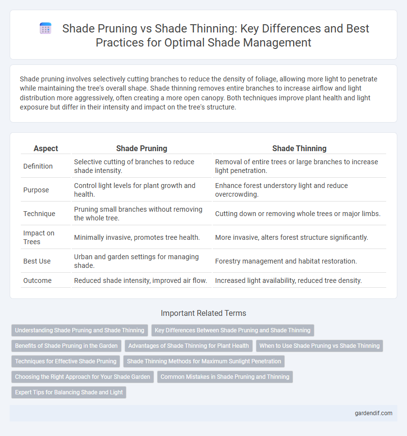 Shade Pruning vs Shade Thinning: Key Differences and Best Practices for Optimal Shade Management