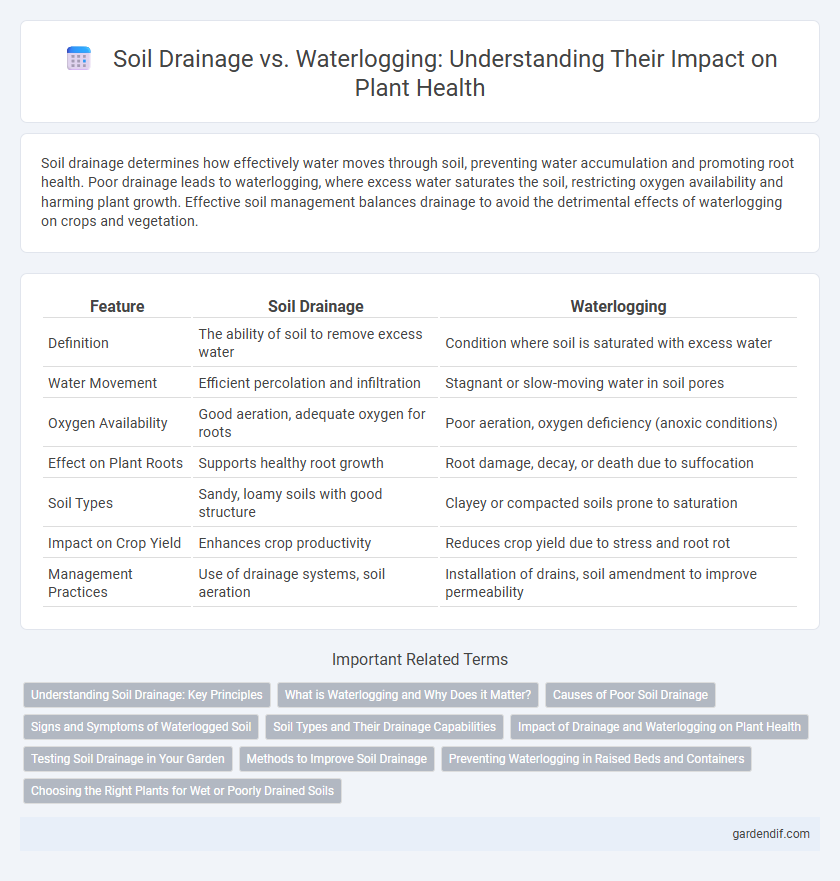 Soil Drainage vs. Waterlogging: Understanding Their Impact on Plant Health