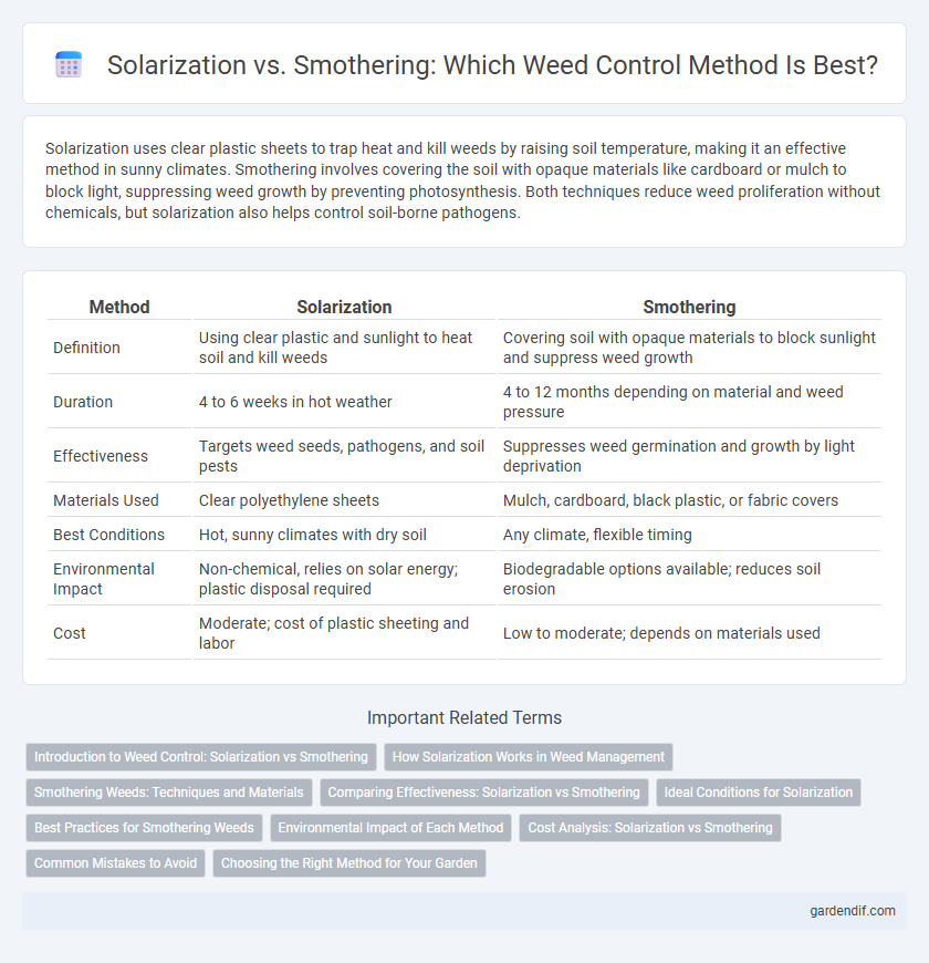 Solarization vs. Smothering: Which Weed Control Method Is Best?