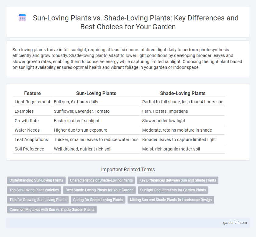 Sun-Loving Plants vs. Shade-Loving Plants: Key Differences and Best Choices for Your Garden