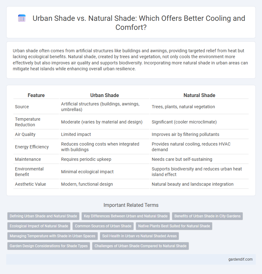 Urban Shade vs. Natural Shade: Which Offers Better Cooling and Comfort?