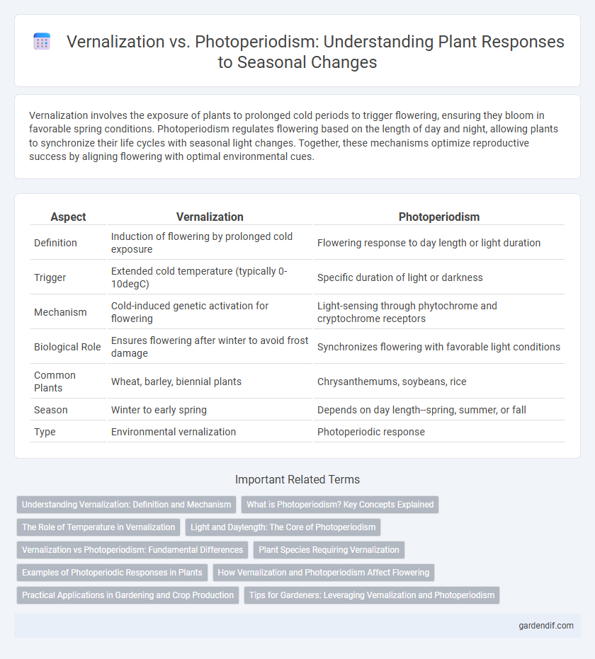 Vernalization vs. Photoperiodism: Understanding Plant Responses to Seasonal Changes