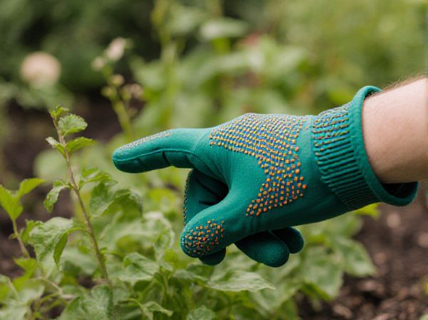 Alley Cropping vs Row Cropping in Companion Planting: Key Differences and Benefits