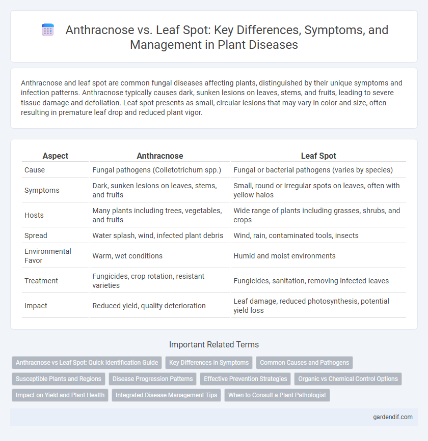 Anthracnose vs. Leaf Spot: Key Differences, Symptoms, and Management in Plant Diseases