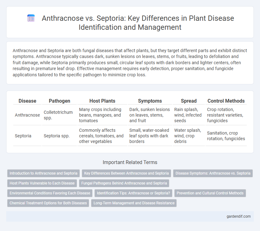 Anthracnose vs. Septoria: Key Differences in Plant Disease Identification and Management