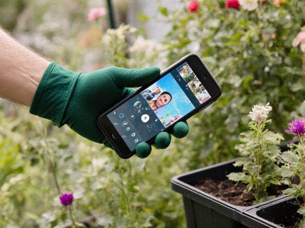 Automated Timer Systems vs. Manual Scheduling in Watering: Which Is More Efficient for Your Garden?