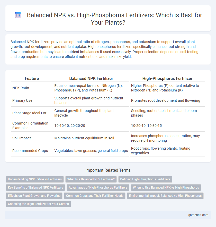 Balanced NPK vs. High-Phosphorus Fertilizers: Which is Best for Your Plants?