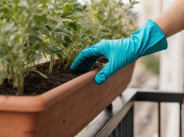 Balcony Railing Planter vs. Deck Box: Which Is Better for Container Gardening?