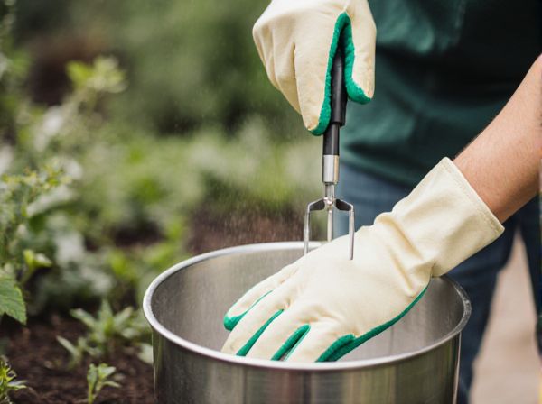 Batch Mixing vs. Continuous Mixing in Hydroponics: A Comprehensive Comparison