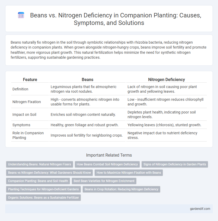 Beans vs. Nitrogen Deficiency in Companion Planting: Causes, Symptoms, and Solutions