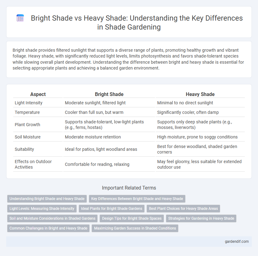 Bright Shade vs Heavy Shade: Understanding the Key Differences in Shade Gardening