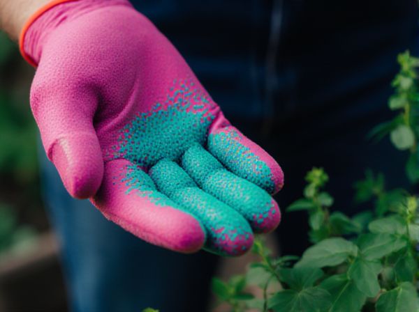 Capillary Matting vs. Overhead Watering for Seed Germination: Which Method Is Best?