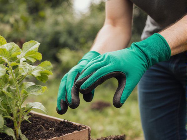 Cleft Grafting vs. Bark Grafting: Key Differences and Best Practices for Plant Propagation